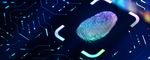 Thieves Are Out NOW!